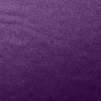 ActiveWear Fabric Specialization | Purple | Ostomy Bag Holder
